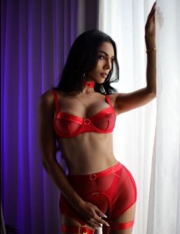 ����������� ������, ������������, +7 (908) 691-3736