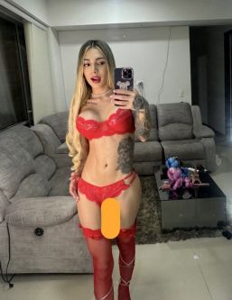 ������������ �������, ������������, +7 (953) 077-6726