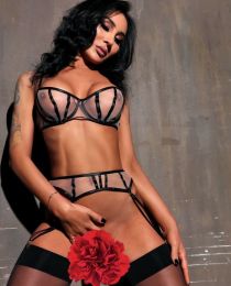 ����������� �����, 28, ������������