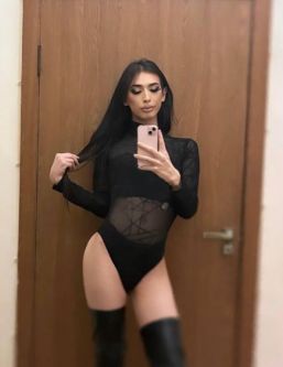 ����������� ����, ������������, +7 (995) 217-7529