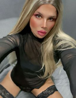 ����������� �������, ������������, +7 (993) 291-9091